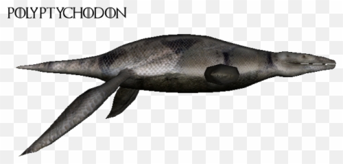 Ancient Seas - The ZT2 Round Table Cryptid png
