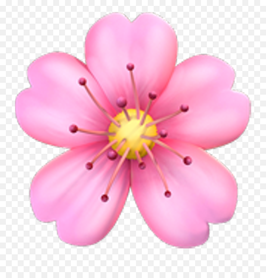Pink Emoji Tumblr Posts - Tumbralcom Flower Emoji Png,Pensive Emoji Transparent