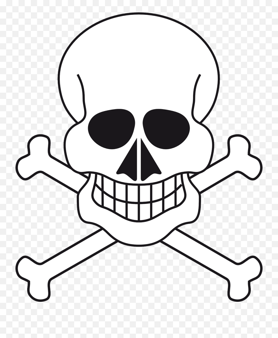 Skeleton Pirate - Iskelet Çizimi Png,Skeleton Face Png