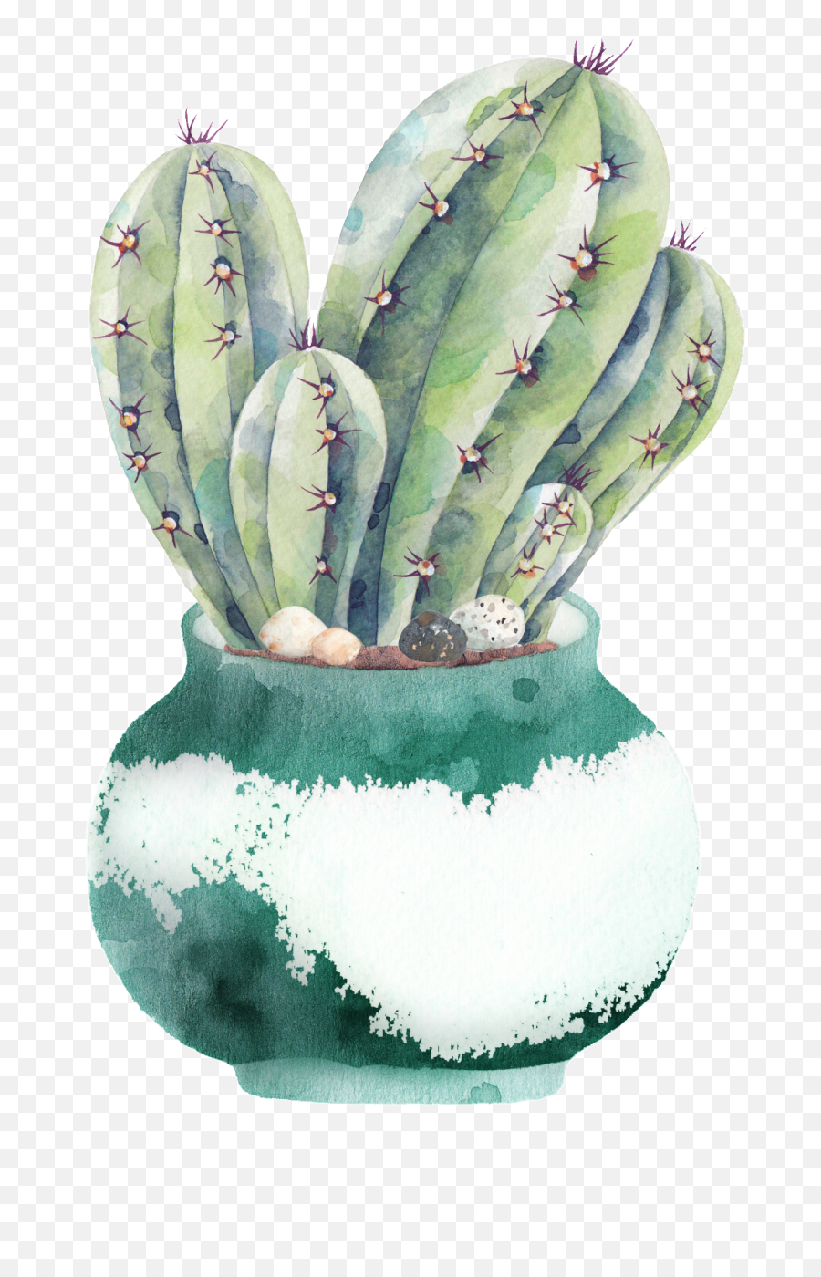 Plate Of Cactus Png Transparent - Transparent Background Watercolor Cactus,Watercolor Cactus Png