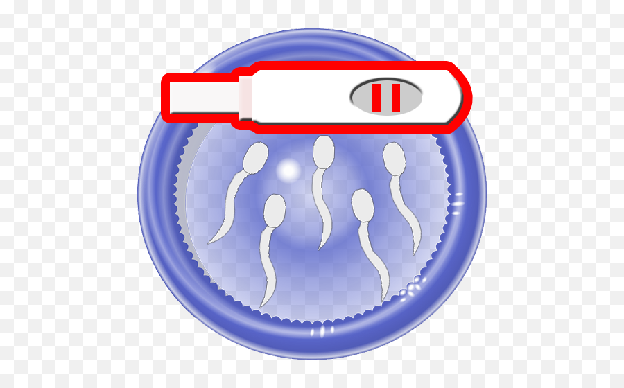 Pregnant Again Catch Sperm Apk 1666 - Download Apk Condom Top View Png,Sperm Icon