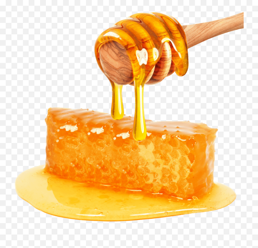 Download Honey Png File - Transparent Honey Png,Honey Transparent