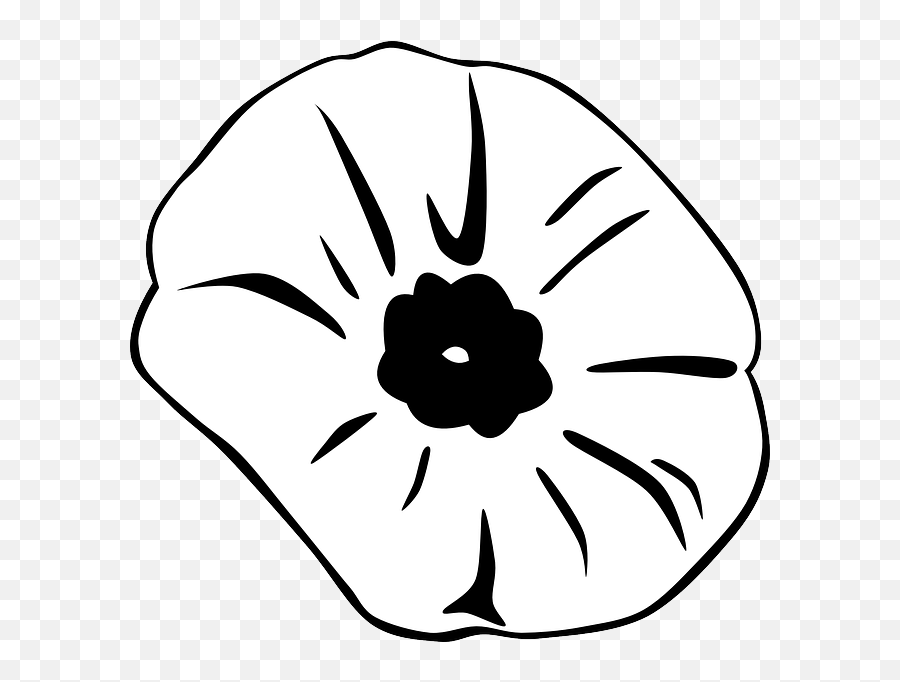 Black Outline Drawing Flower White Cartoon - Public Silhouette Of A Poppy Png,Flower Cartoon Png