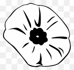 Black Outline Drawing Flower White Cartoon - Public Silhouette Of Poppy png