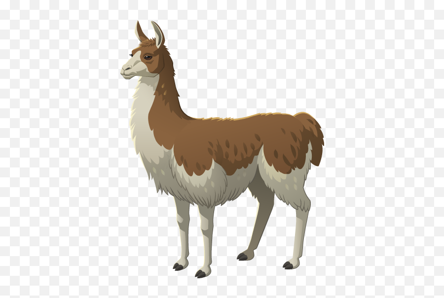 Llama2. Лама для детей. Лама картина для детей. Лама на белом фоне. Лама без фона.