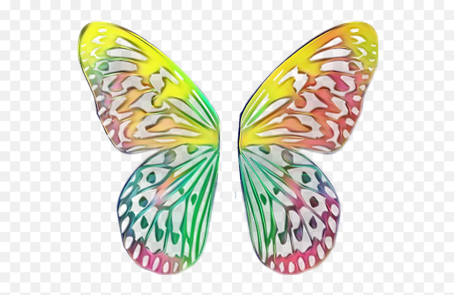 Butterfly Wings Butterflywings Monarch - Wings For Picsart Butterfly Png,Butterfly Wings Png