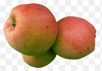Index Of - Apple Png,Manzana Png