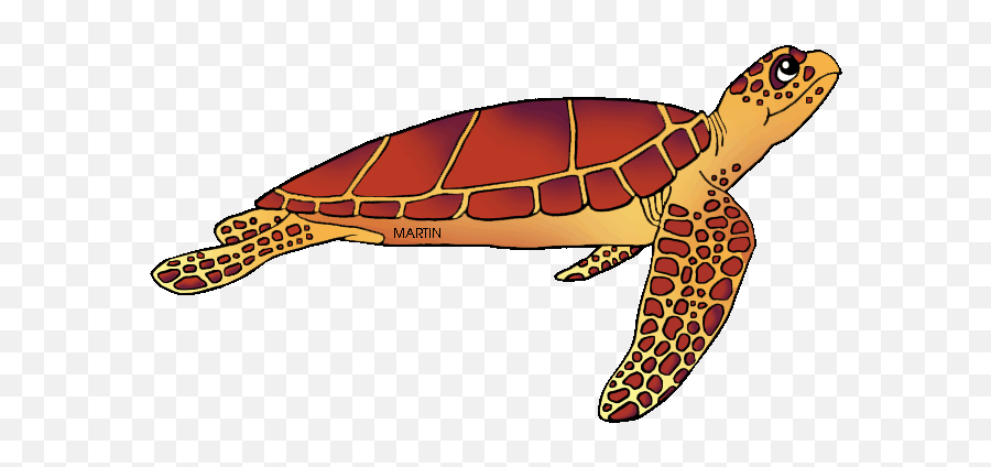 Sea Turtle Clipart Kempu0027s Ridley - South Carolina State Loggerhead Sea Turtle Clipart Png,Turtle Clipart Png