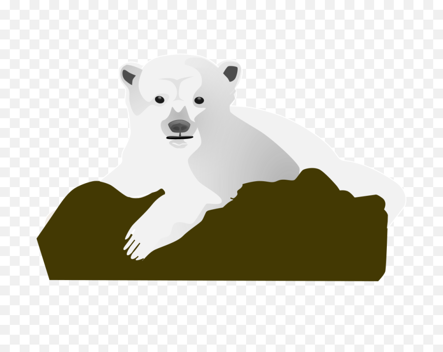 Download - Polarbearpngtransparentimagestransparent Polar Bear Clip Art Png,Bear Transparent Background