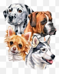 Great Dane Graphics Offers New Dog Designs - March 30 2020 Great Dane Graphics Png,Great Dane Png