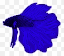 Blue Betta Fish Clipart - Cartoon Betta Fish Png,Betta Fish Png