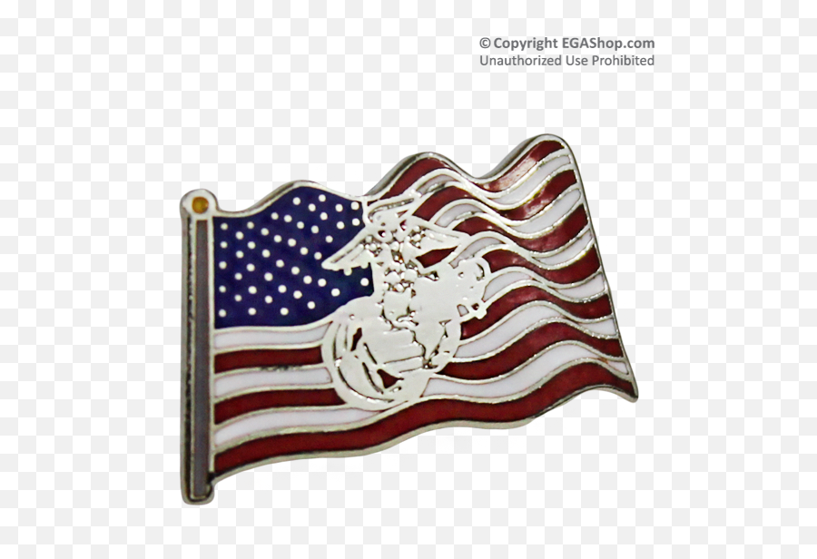 Lapel Pin American Flag With Eagle - Lapel Pin Png,Eagle Globe And Anchor Png