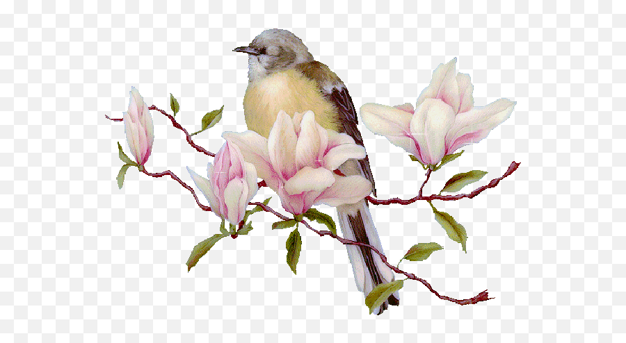 Bird In Spring Pictures Photos And Images For Facebook - Animated Transparent Nature Gif Png,Twitter Bird Transparent