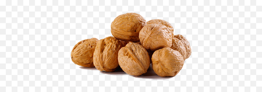 54 Walnut Png Images Free To Download - Walnuts Png,Walnuts Png