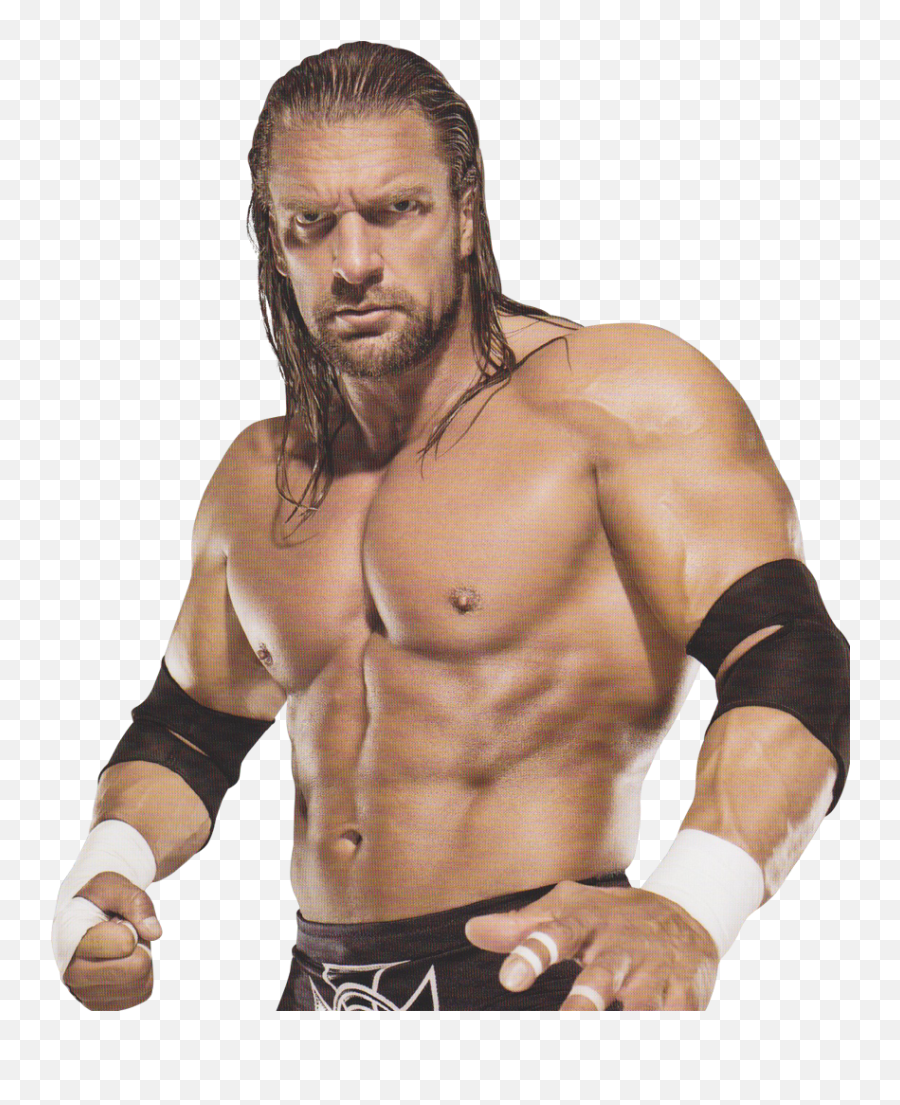 Download Wwe Shawn Michaels And Triple H - Wwe Greatest Triple H Png Deviantart,Shawn Michaels Png