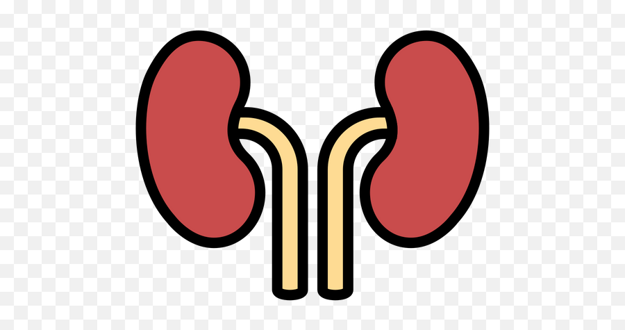 Kidneys Icon Of Colored Outline Style - Dot Png,Kidney Png