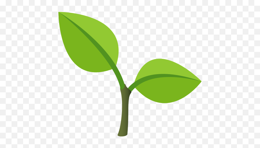 Emoji Seedlings To Be Copied Pasted - Seedling Emoji Png,Leaf Emoji Png