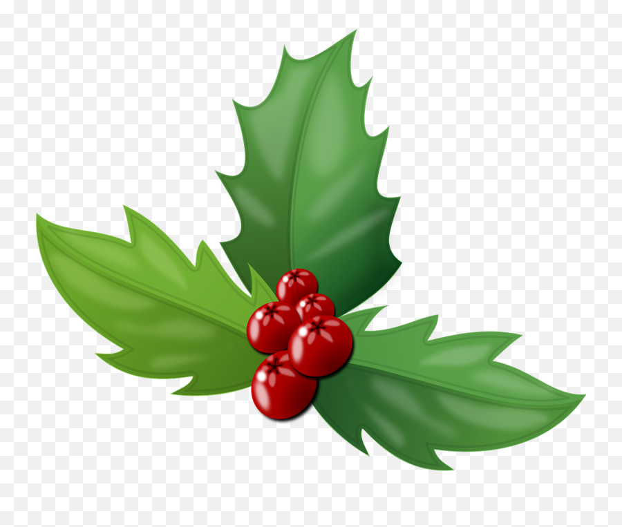 Holly Berries Leaves - Holly Berries Transparent Background Png,Holly Leaves Png