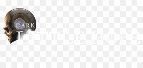 Bandai Namco Entertainment America - Horizontal png