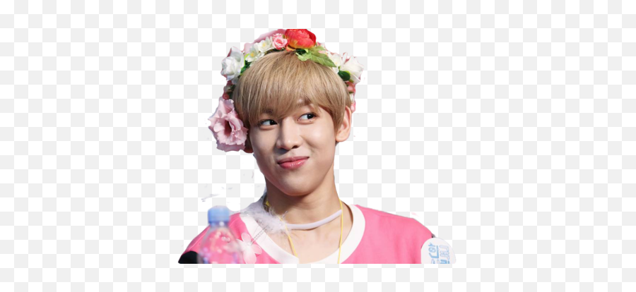 Download Got7 Png And Bambam Image - Got7 Flower Crowns Bambam,Flower Crowns Png