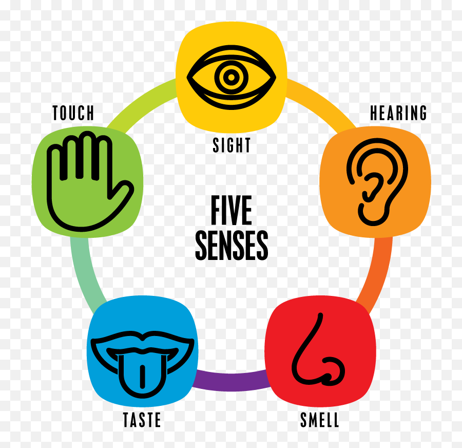 Spring - Five Senses Clipart Png,5 Senses Icon