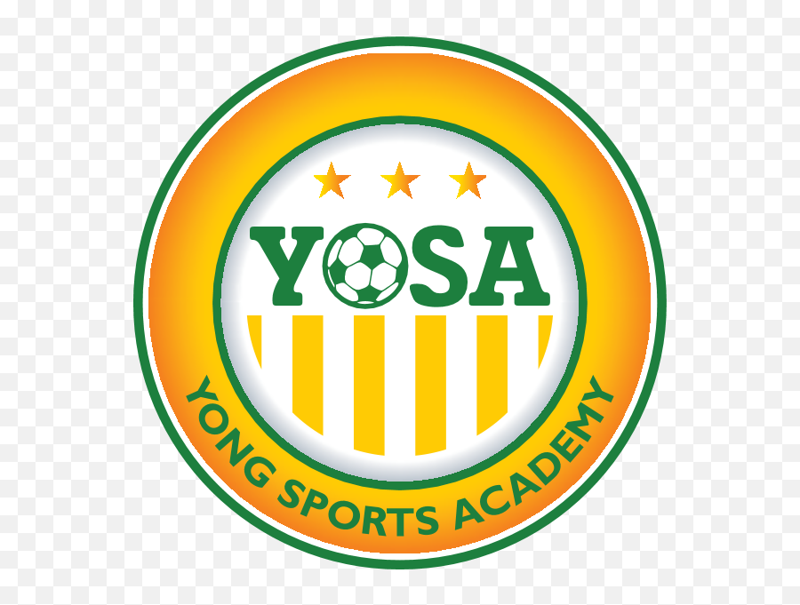 Young Sports Academy Logo Download - Logo Icon Png Svg Young Sports Academy Fc,Young Icon