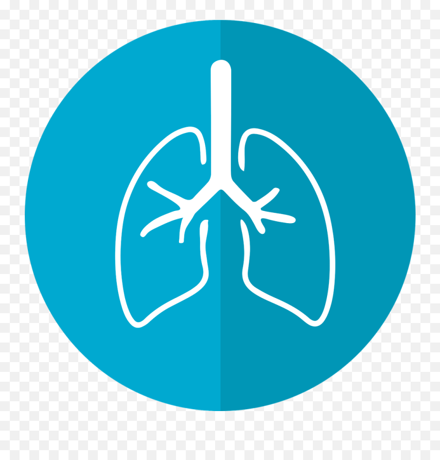 Overview Of Lung - Onchip Systems U2013 The Use Of The Alveolar Lungs Logo With Blue Background Png,Read Naturally Icon