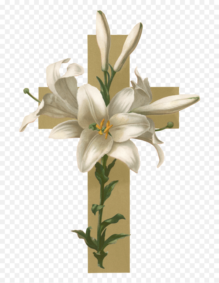 Cross And Easter Lilies Clipart Library - Cross With Easter Lilies Png,Easter Lily Png