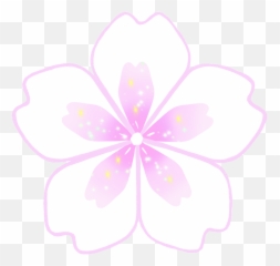 Terms Of Service U2013 Malvaely - Girly png