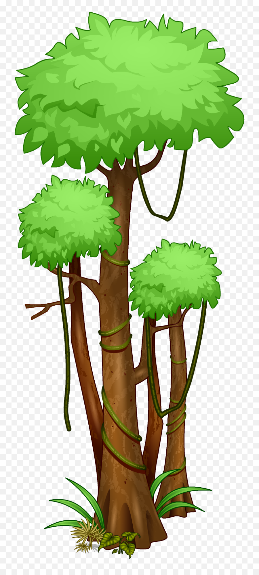 Rainforest Trees Transparent Png - Tropical Rainforest Trees Drawing,Tree Canopy Png