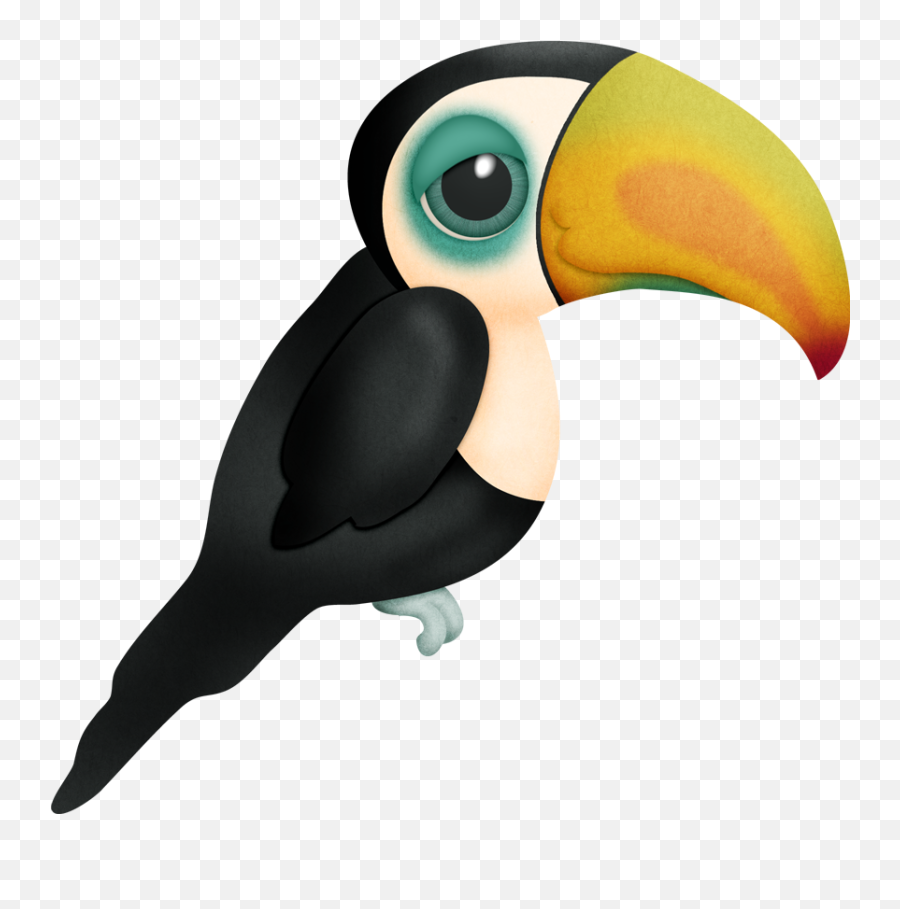 Marcos Gratis Para Fotos Scrap Animales Png Y Objetos - Drawing Pictures Of Animals And Birds,Tucan Png