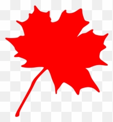 Maple Red Leaf - Clip Art png