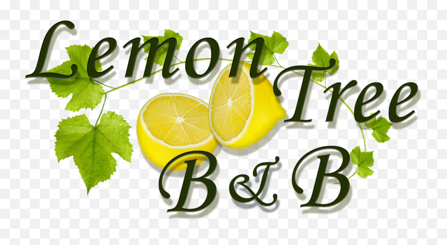 Download Lemon Tree Logo - Sweet Lemon Png Image With No Grape Leaf,Lemon Tree Png