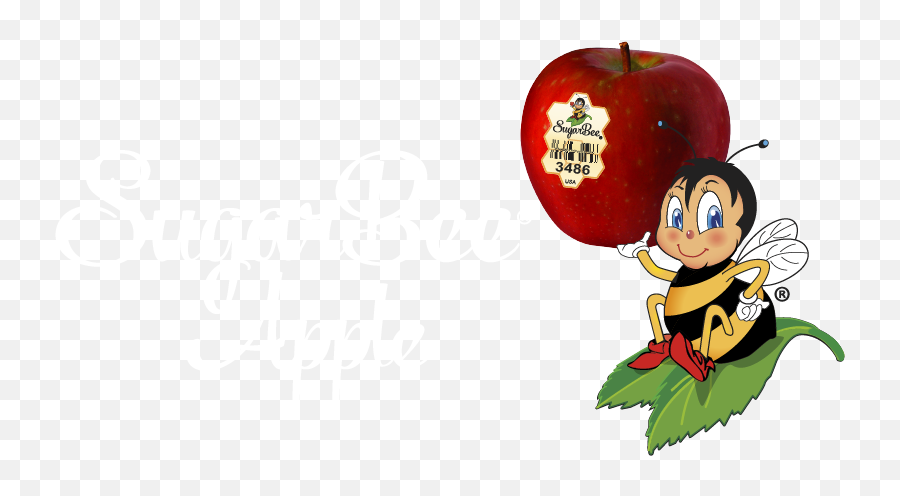 Chelan Fresh Sugarbee Apples Lake - Sugarbee Apple Png,Apple Logo 2018