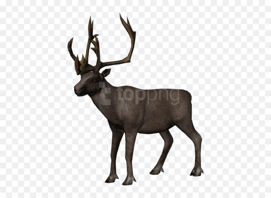 Free Png Moose Images Transparent - Elk,Red Dead Redemption 2 Transparent