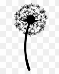 Drawing Clip Art Image Vector Graphics The Dandelion - Leon Dandelion Clipart Black And White Png,Dandelions Png