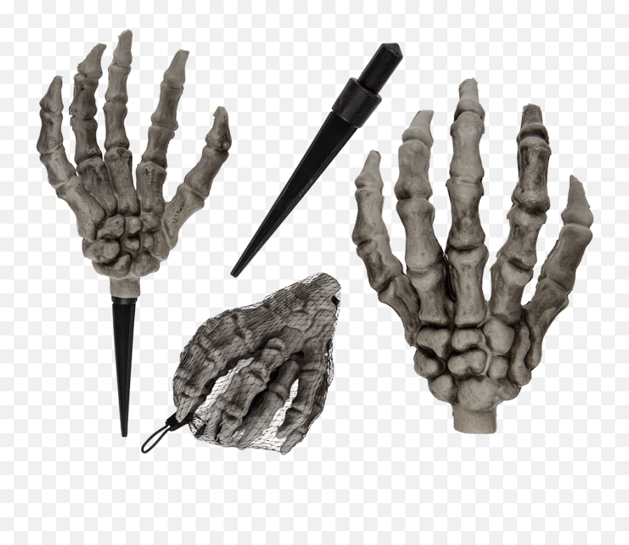 Skeletal Hand - Käsi Png,Skeleton Hand Png