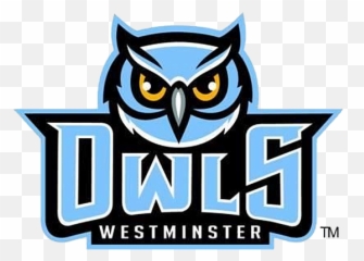 Westminster Owls - Clip Art Png,Owls Png