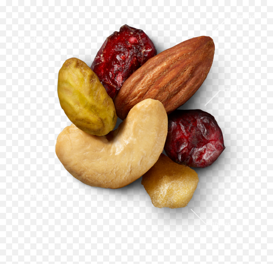 Did U Know - Fruit And Nut Png,Nut Png