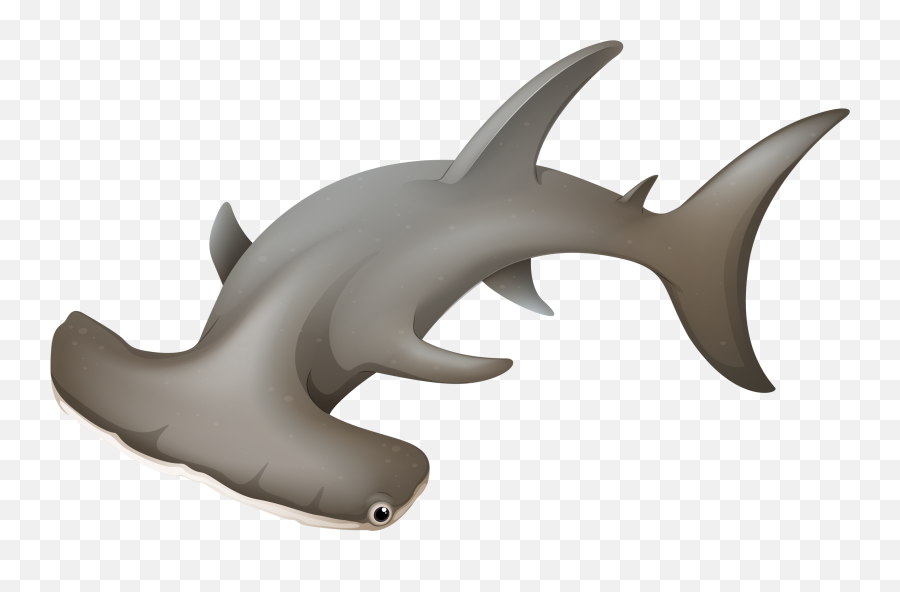 Hammerhead Shark - Cartoon Cute Hammerhead Shark Png,Hammerhead Shark Png