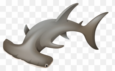 Hammerhead Shark - Cartoon Cute Hammerhead Shark Png,Hammerhead Shark Png