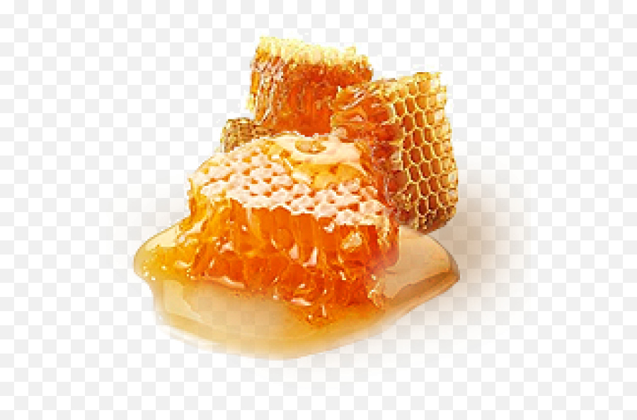 Honey Png Free Image Download 33 - High Quality Honey,Honey Png