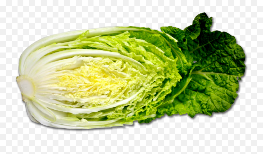 Cabbage Png Image - Png Napa Cabbage,Cabbage Transparent Background