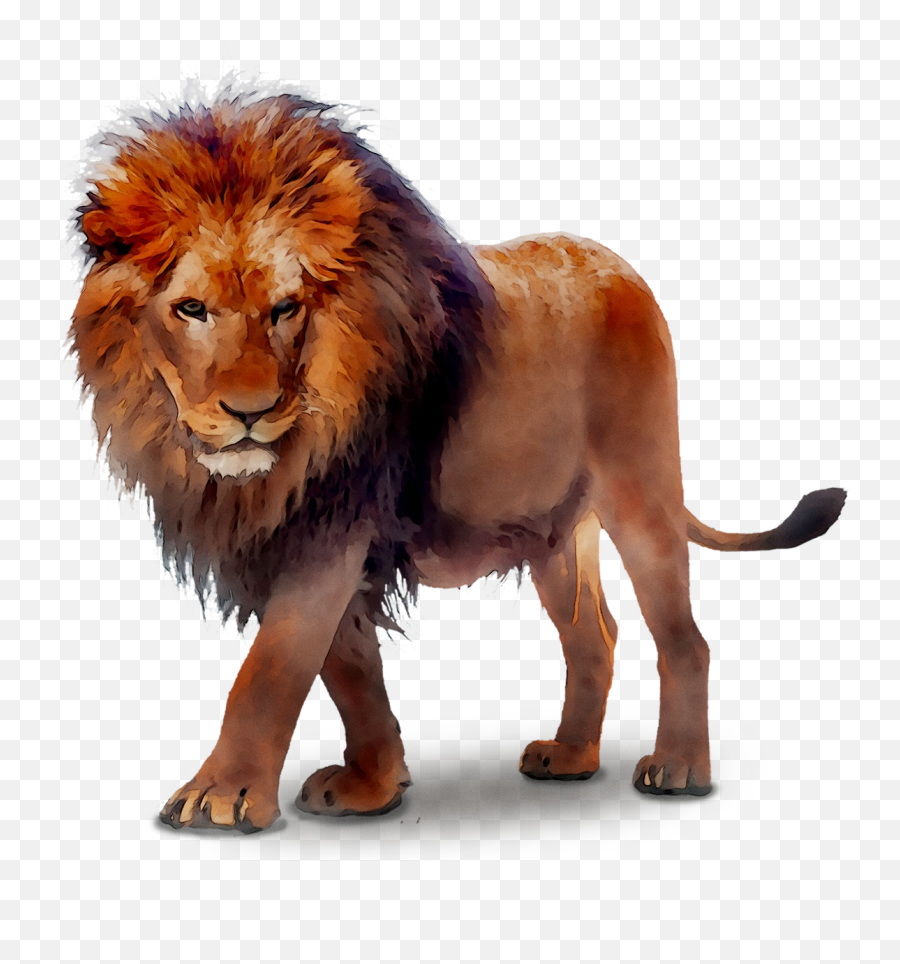 Free Transparent Lion Png Download - Transparent Background Lion Transparent,Lion Transparent Background