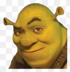 Shrek Png, Transparent Png - 1024x1078(#579863) - PngFind