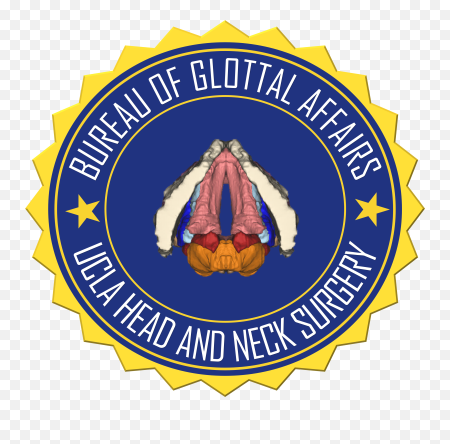 Bureau Of Glottal Affairs - Ucla Head And Neck Surgery Los Language Png,Ucla Logo Transparent