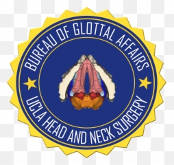 Bureau Of Glottal Affairs - Ucla Head And Neck Surgery Los Language Png,Ucla Logo Transparent