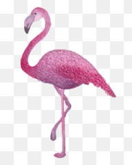 T R O P I C A L N K - Animal Figure Png,Acuarela Png