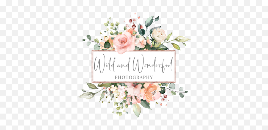 Wild And Wonderful Photography West Virginia Maryland - Watercolor Flowers Logo Free Png,Photographer Png