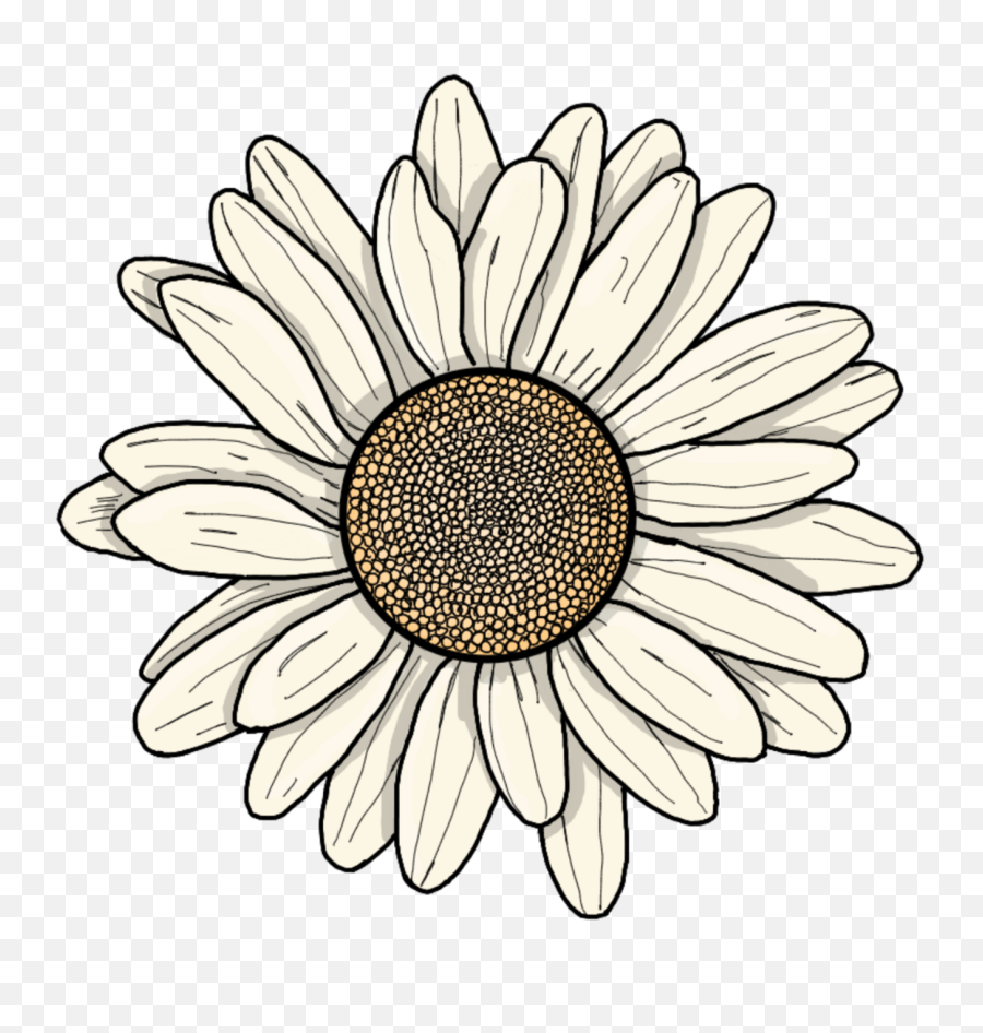 Flower Cartoon Sticker By Stacy - Cartoon Flower Sticker Png,Transparent  Flower Drawing Tumblr - free transparent png images 